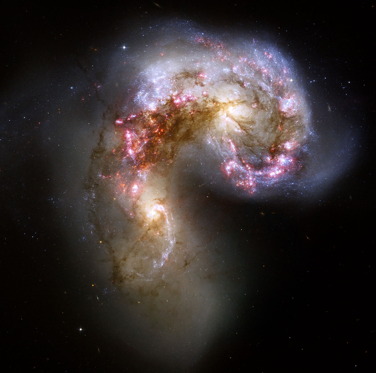 What Can Astrophysics Teach Us About Love?